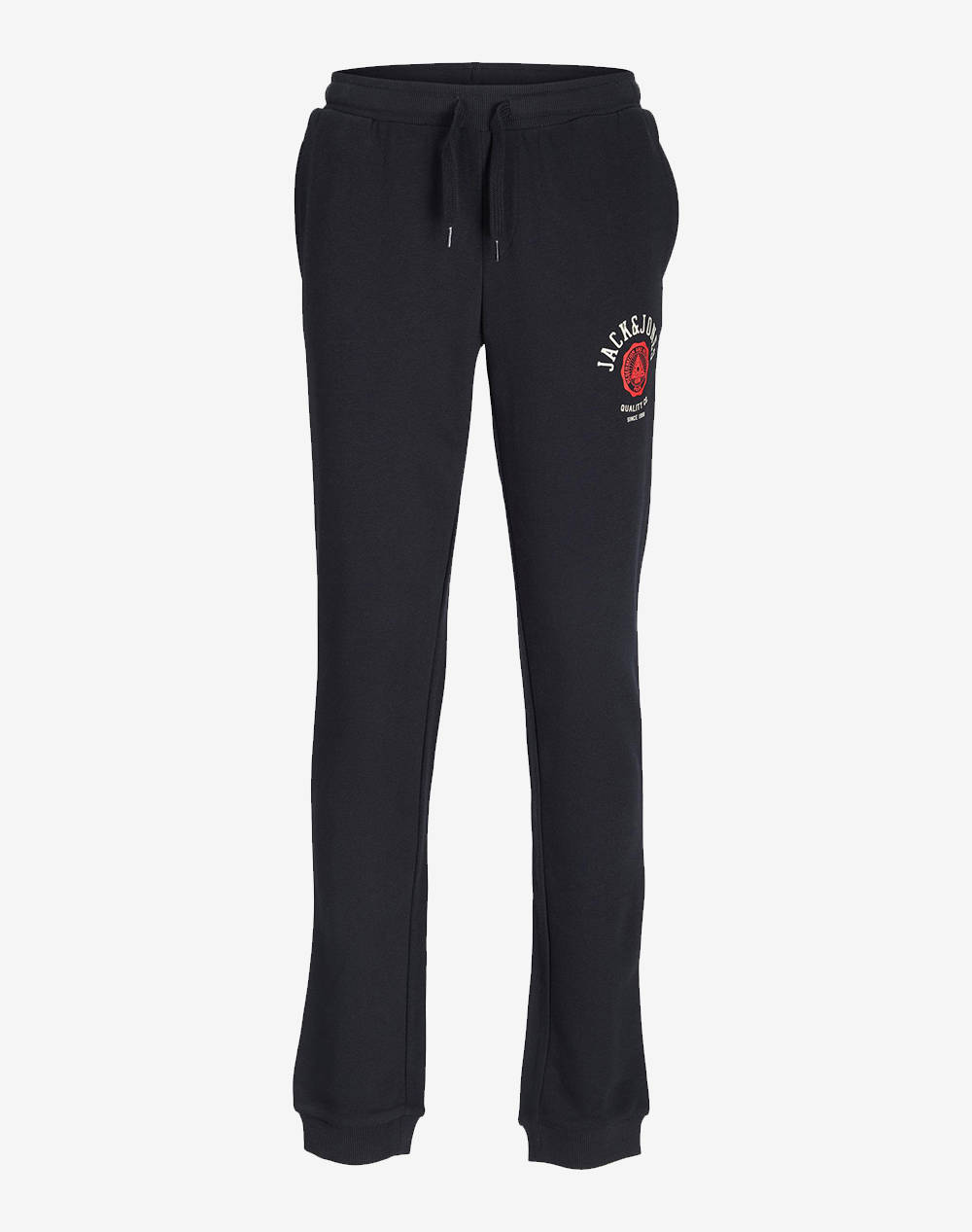 JACK&JONES JPSTLOGO SWEAT PANT 2 COL 22/23 NOOS JNR SPODNIE DRESOWE